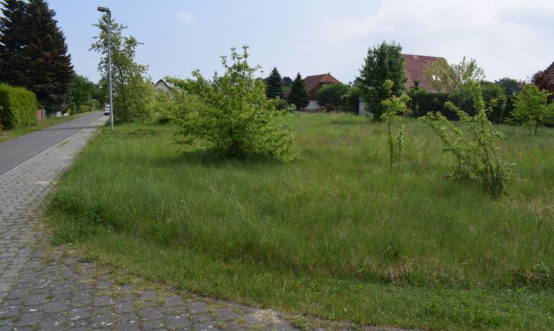 ruhiges Baugrundstück im Bebauungsgebiet in Chemnitz 4 km Nördlich vom Zentrum